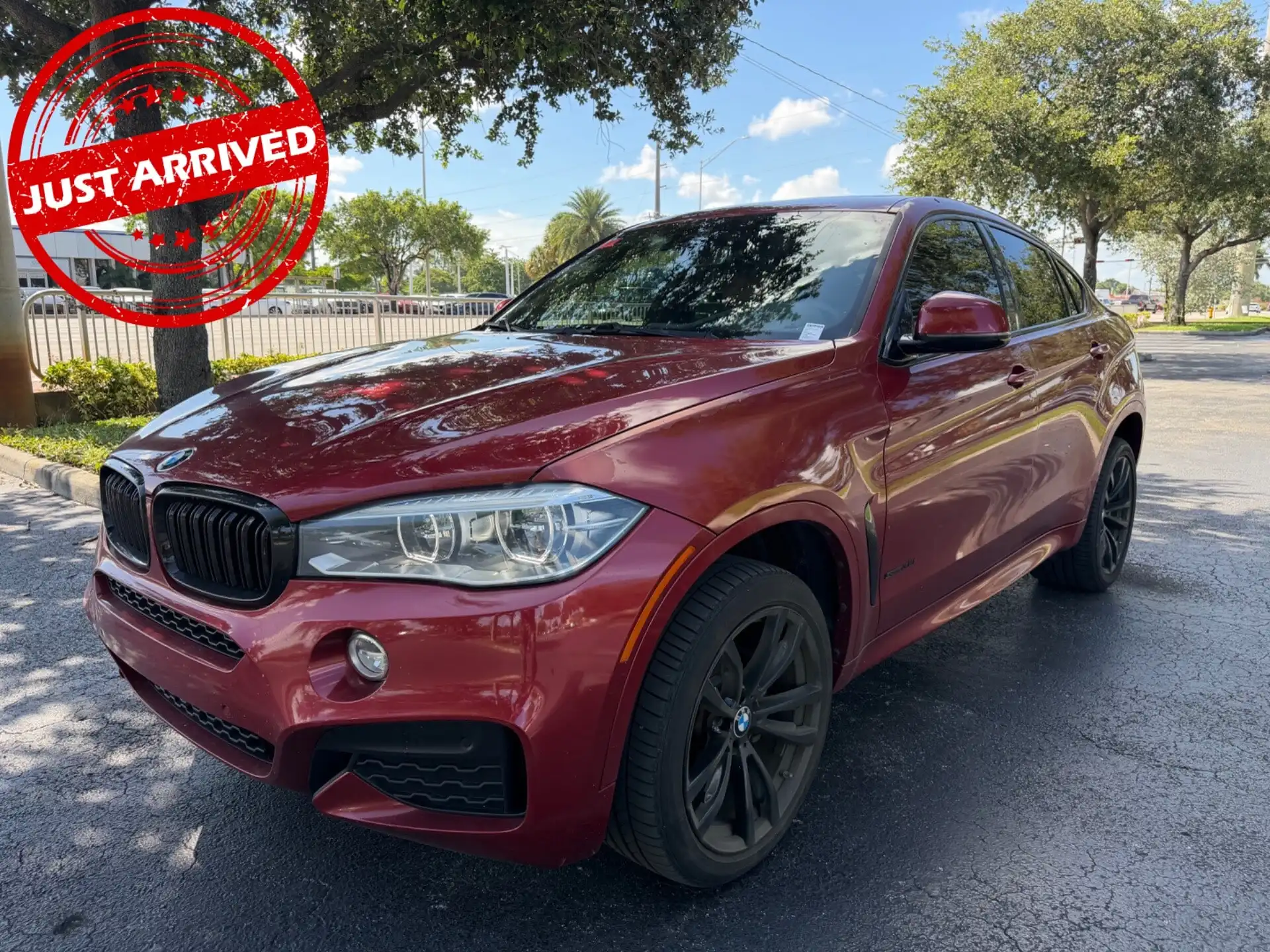 2018 BMW X6 sDrive35i's photo