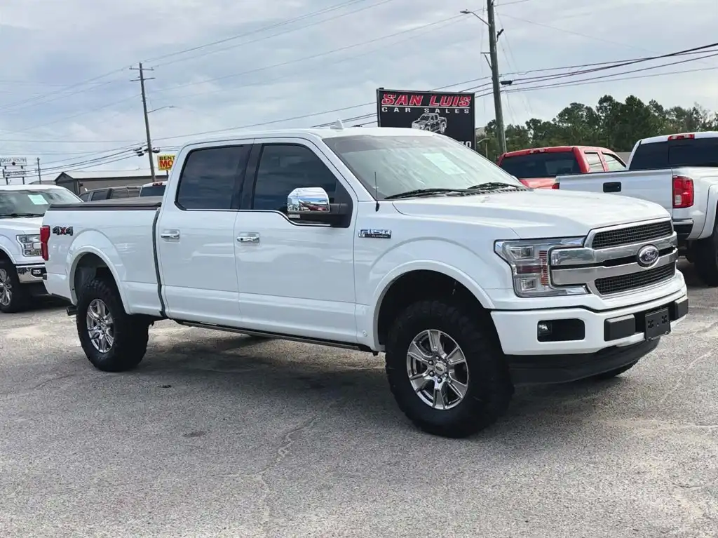 2020 Ford F-150 Platinum 4WD SuperCrew 6-1/2' Box's photo
