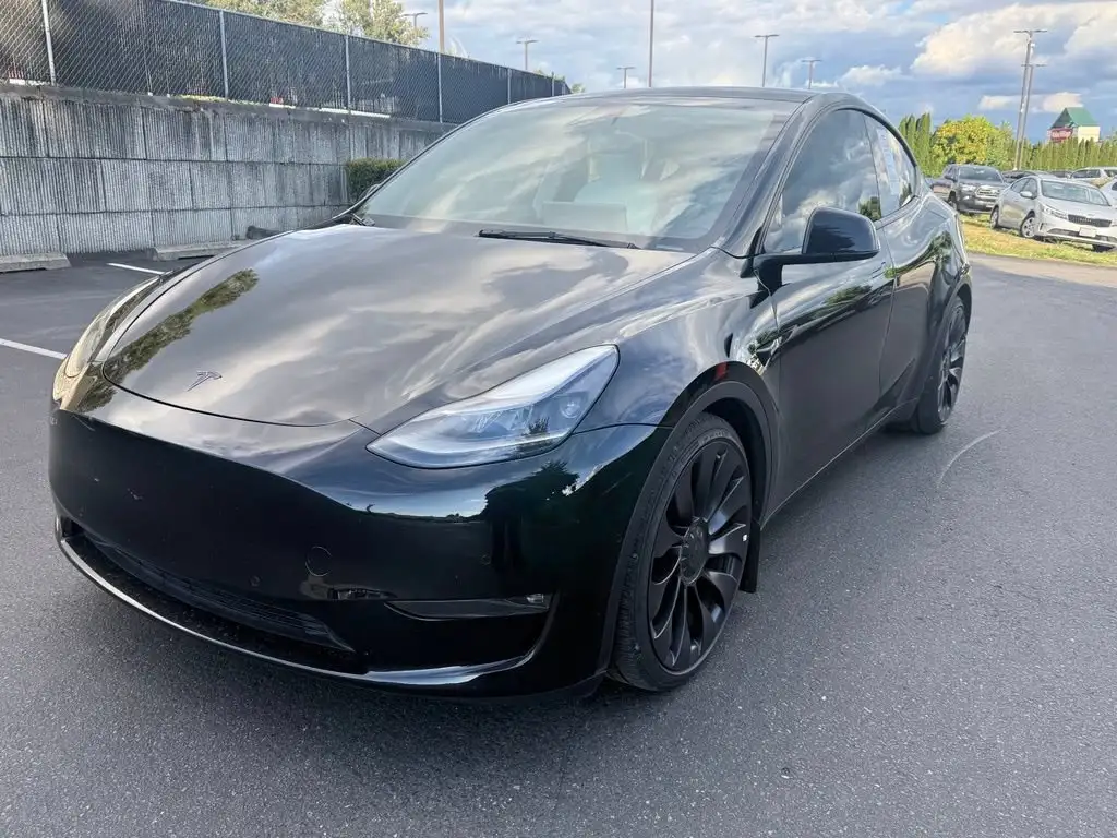 2022 Tesla Model Y Performance Dual Motor AWD's photo