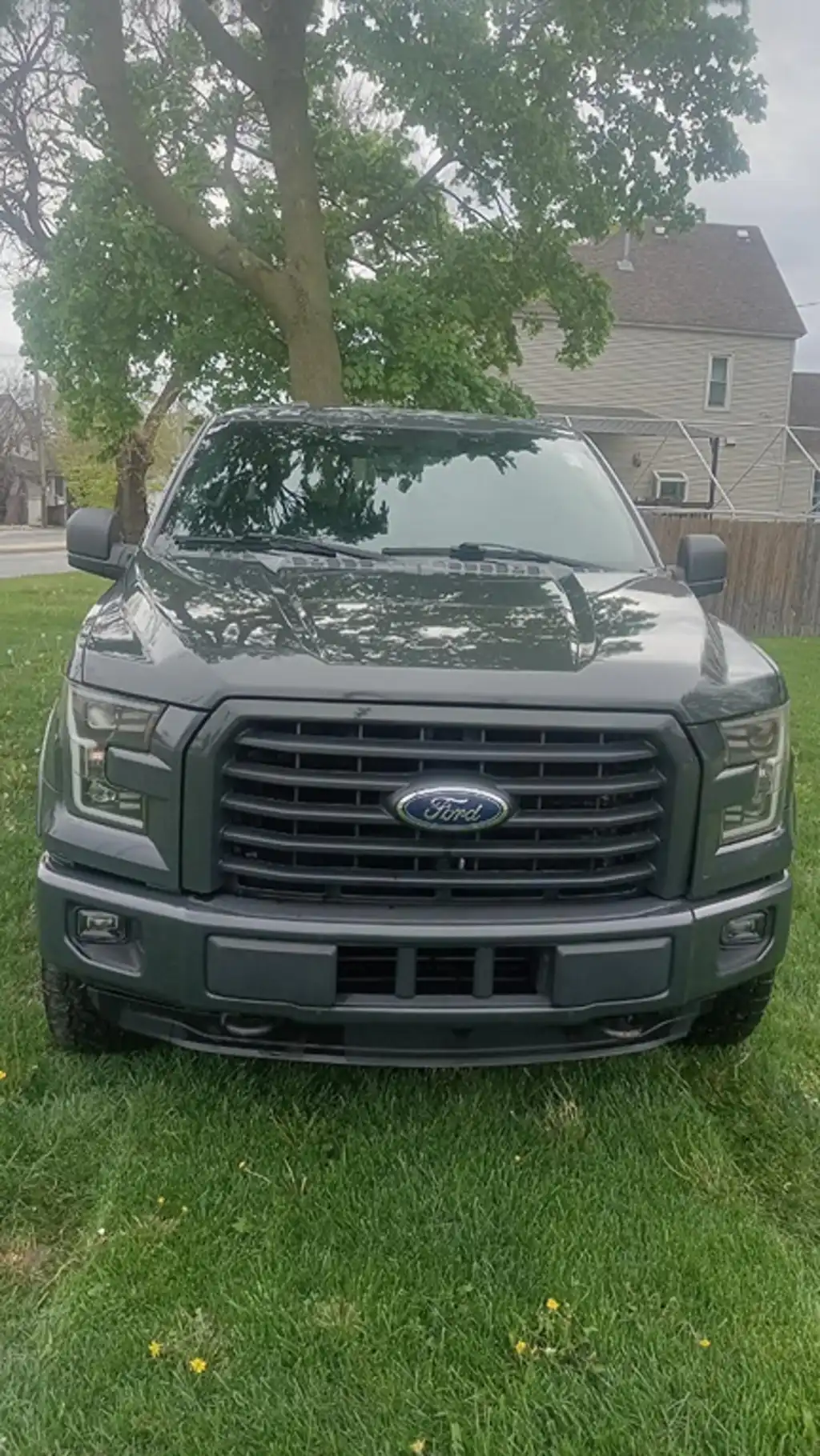 2016 Ford F-150 XLT 4x4 SuperCrew 5-1/2 Box's photo