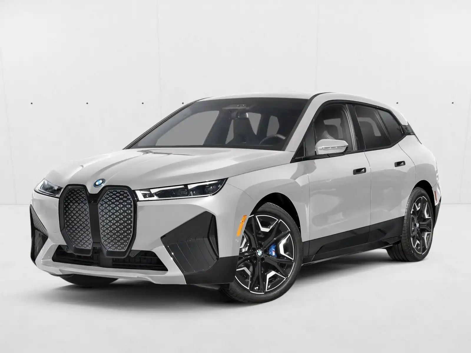 2025 BMW iX xDrive50's photo