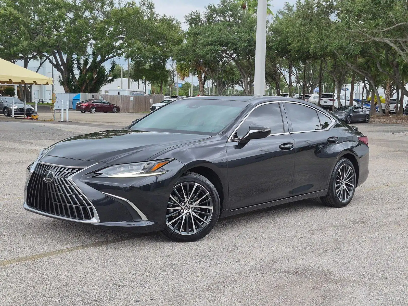 2024 Lexus ES 300h 300h's photo