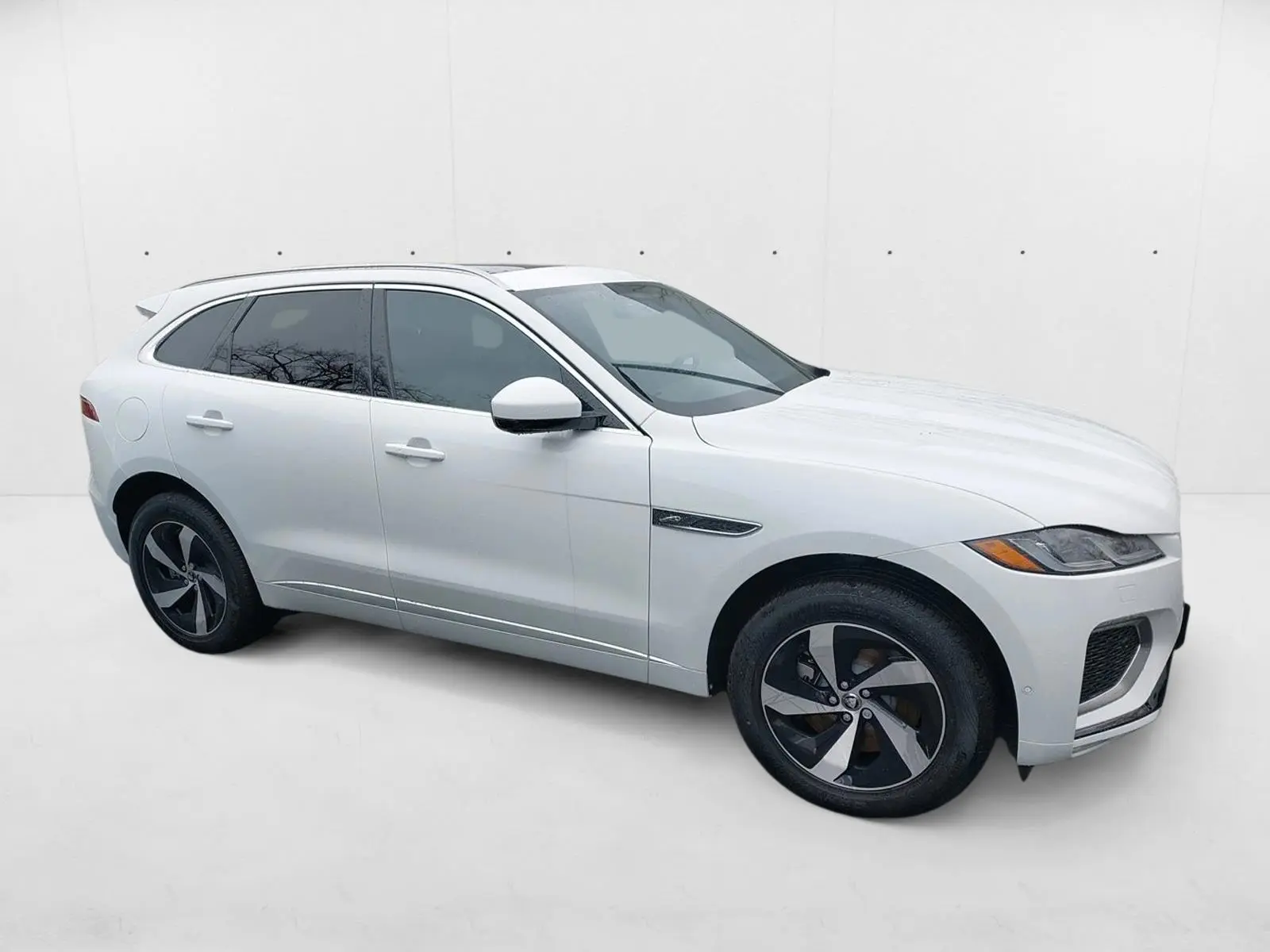 2026 Jaguar F-PACE P250 R-Dynamic S photo 4