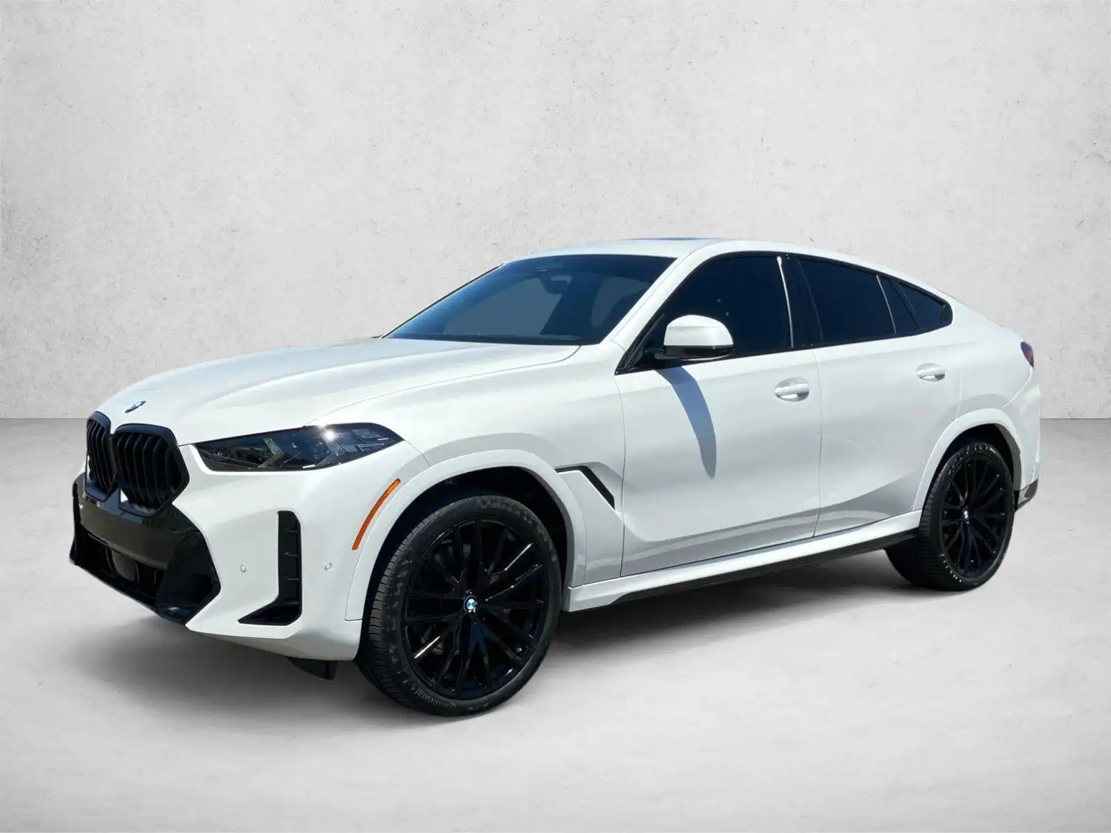 2024 BMW X6 xDrive40i's photo