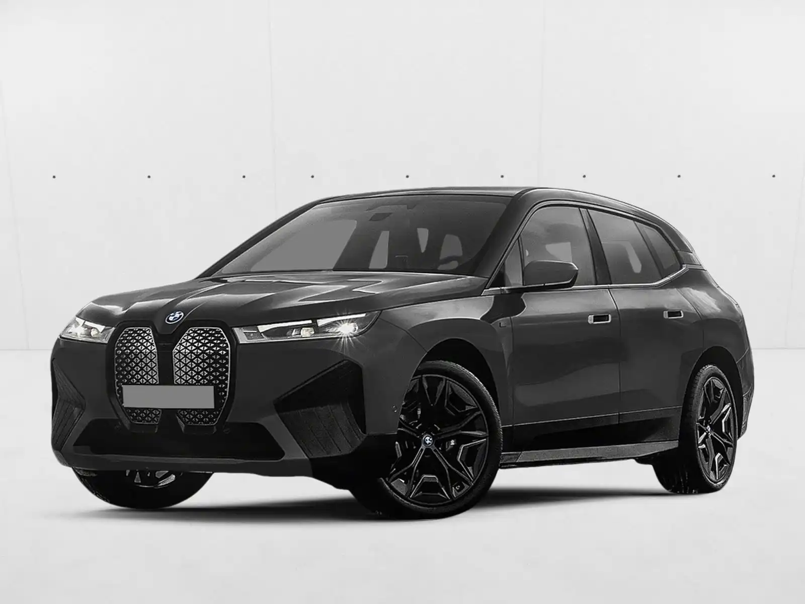 2024 BMW iX xDrive50's photo