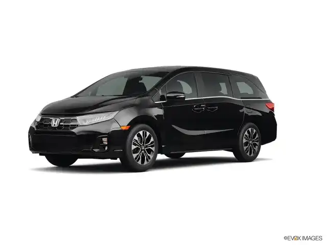 2026 Honda Odyssey Elite's photo