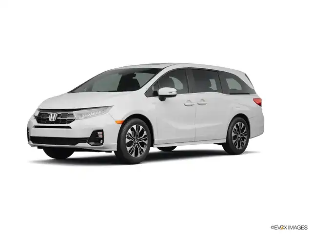 2026 Honda Odyssey Elite's photo