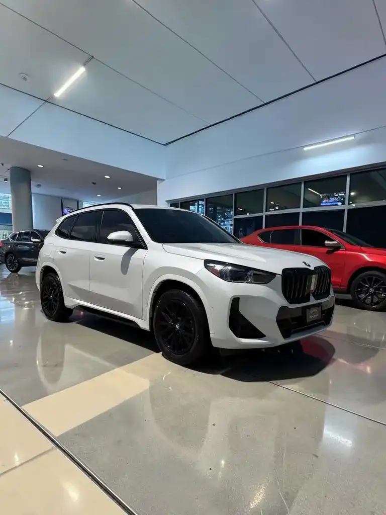 2025 BMW X1 xDrive28i's photo