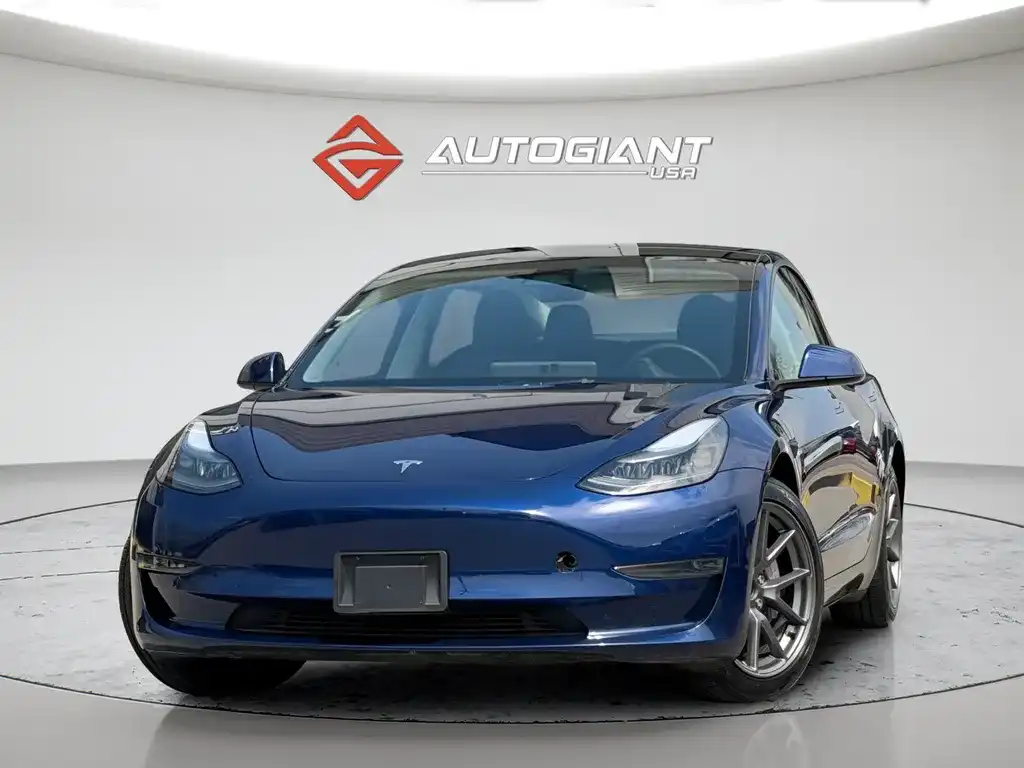 2023 Tesla Model 3 Base's photo