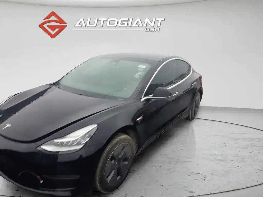 2020 Tesla Model 3 Standard Range Plus's photo