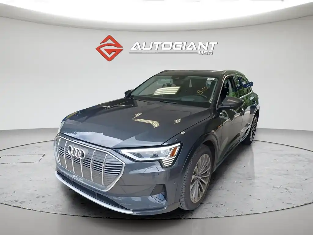 2019 Audi e-tron Prestige's photo