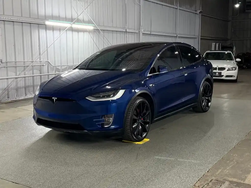 2020 Tesla Model X Performance's photo