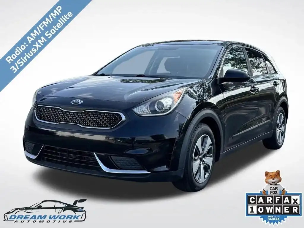 2019 Kia Niro FE's photo