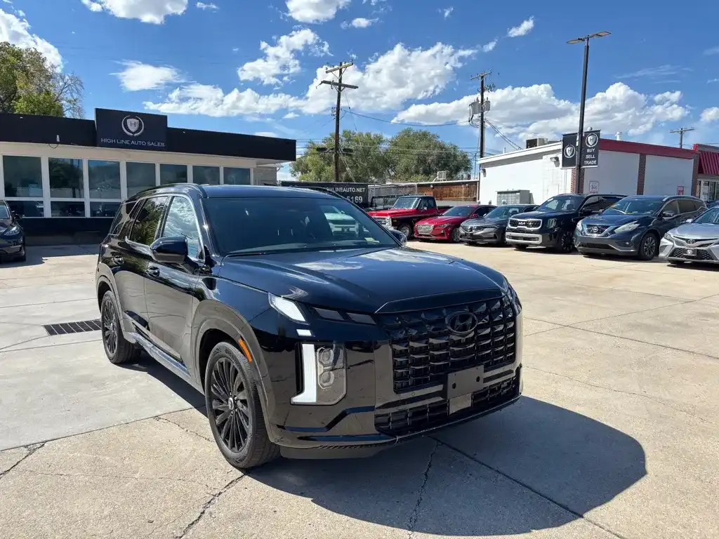 2025 Hyundai Palisade Calligraphy Night Edition AWD's photo