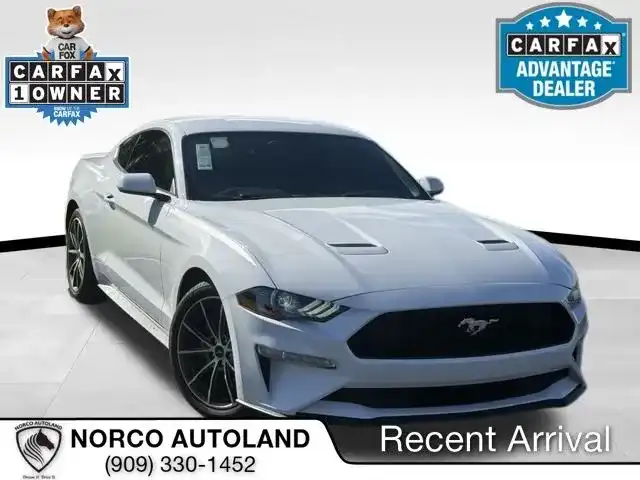 2019 Ford Mustang EcoBoost Coupe's photo