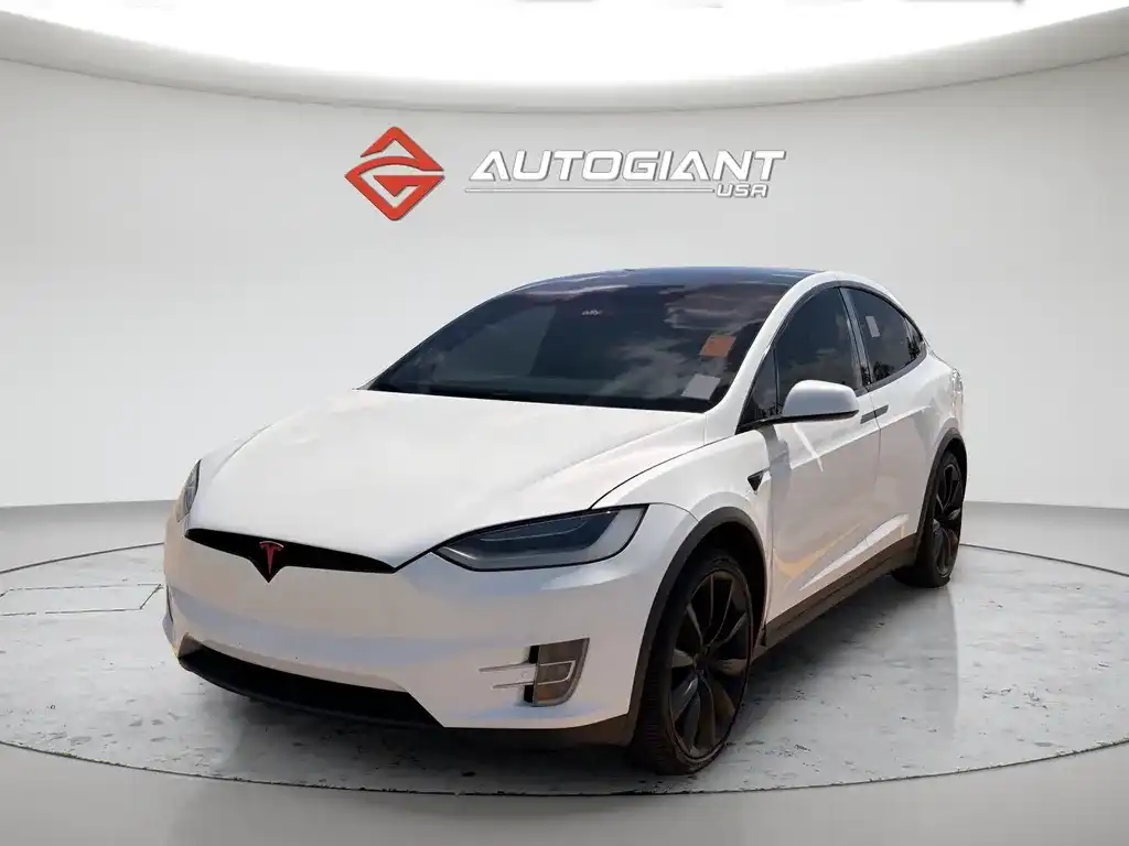 2019 Tesla Model X Performance's photo