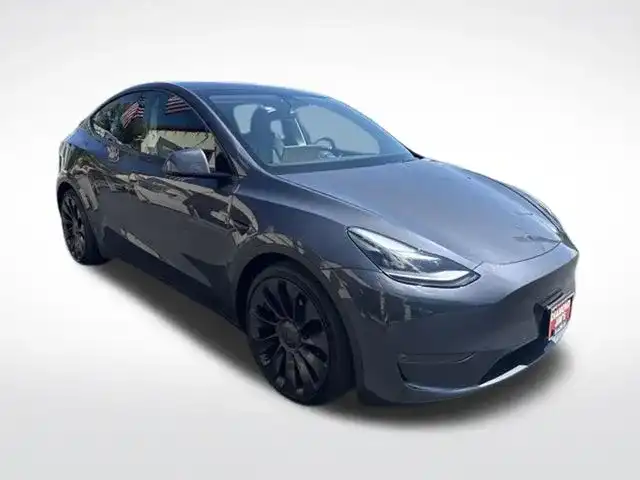 2021 Tesla Model Y Performance Dual Motor All-Wheel Drive's photo