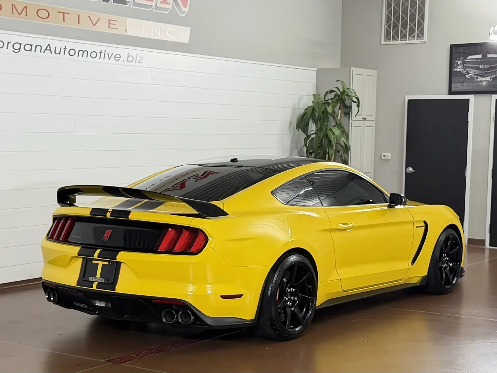 2017 Ford Mustang Shelby GT350R photo 3