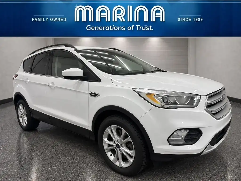 2019 Ford Escape SEL 4WD's photo