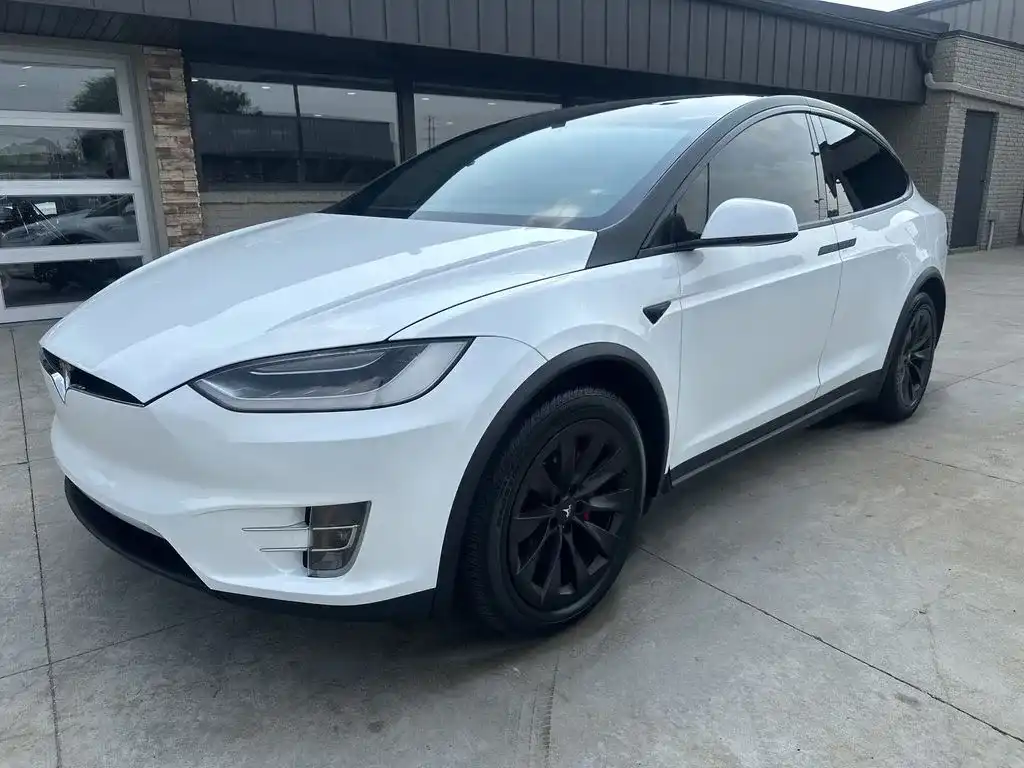 2019 Tesla Model X P100D's photo