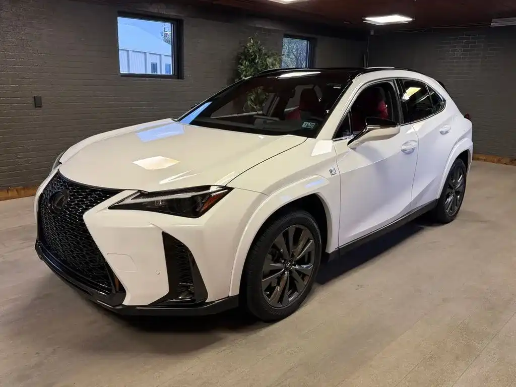 2023 Lexus UX 300h 250h F Sport Handling AWD's photo