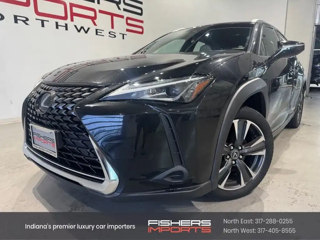 2020 Lexus UX 300h 250h AWD's photo