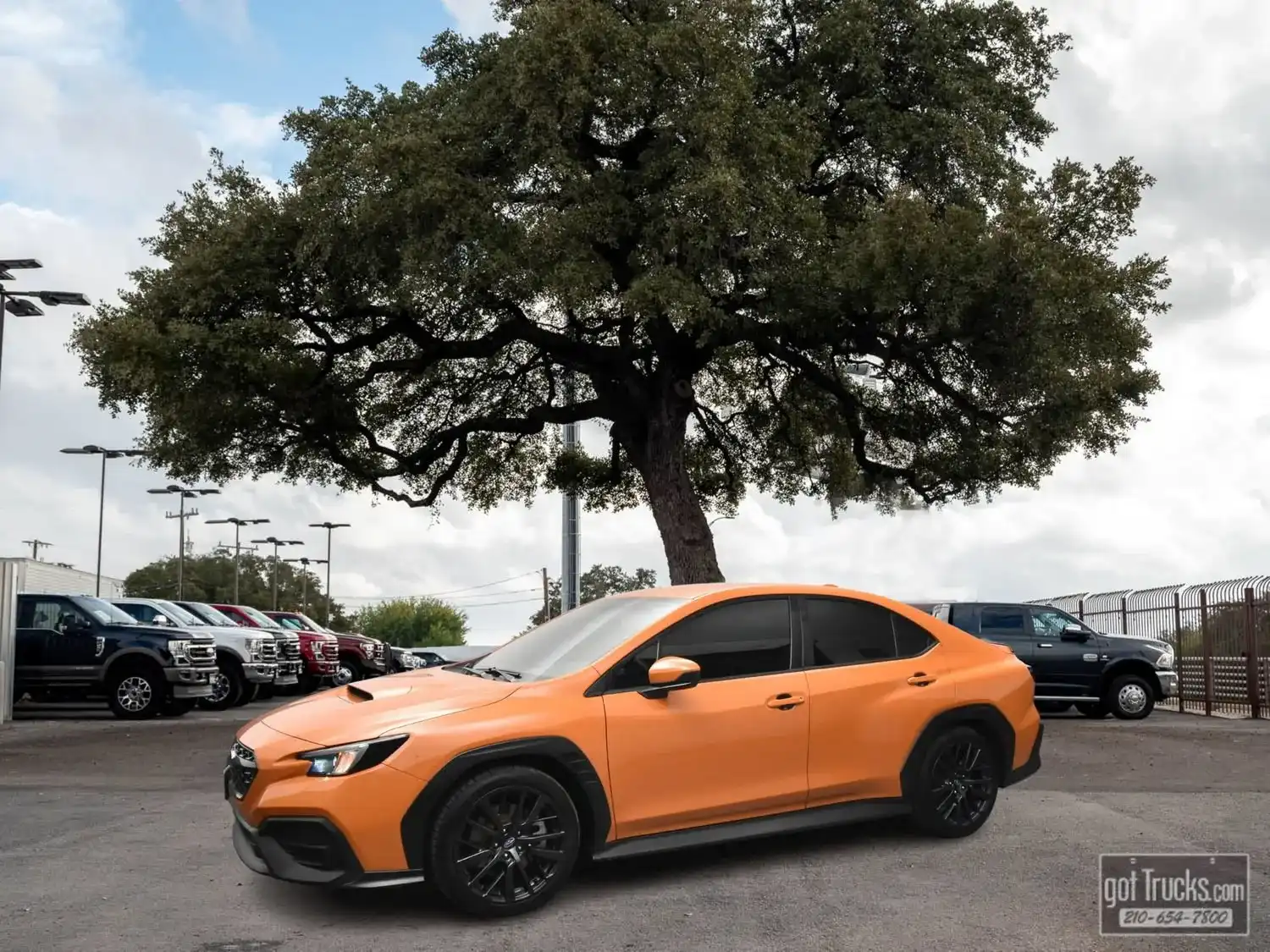 2022 Subaru WRX Premium's photo