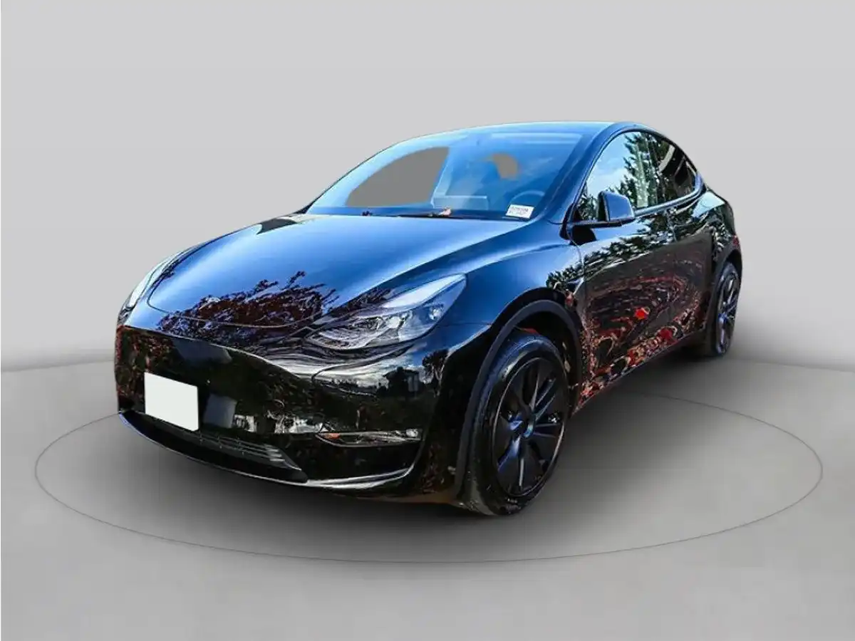 2025 Tesla Model Y Long Range Dual Motor All-Wheel Drive's photo