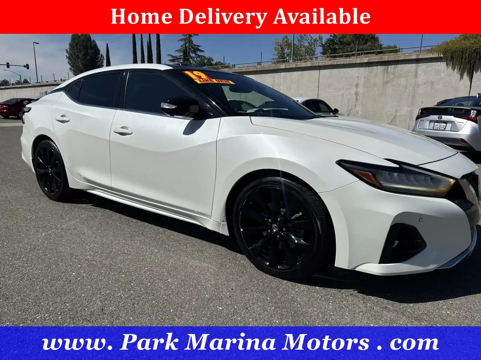 2019 Nissan Maxima SR's photo