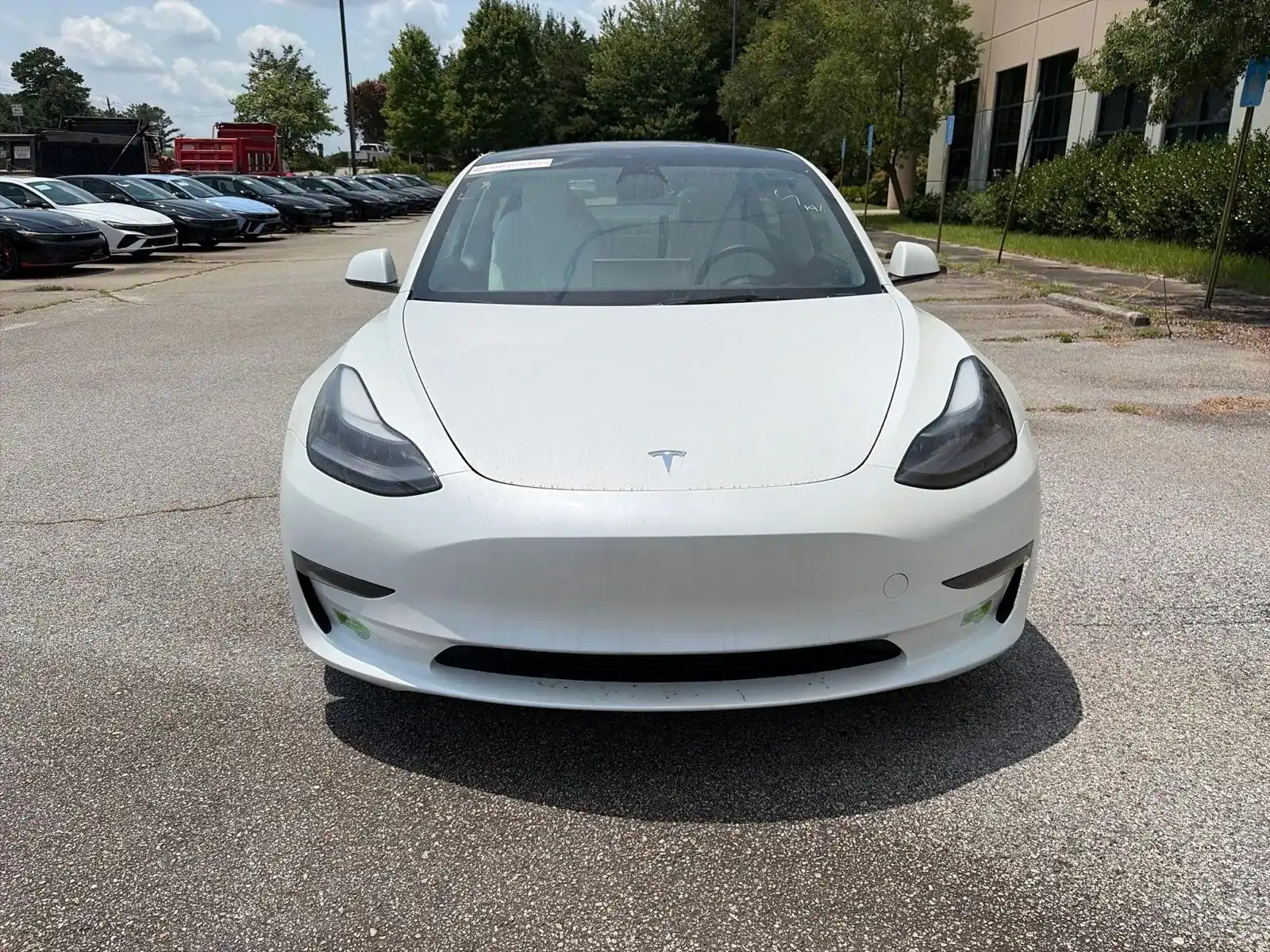 2023 Tesla Model 3 Long Range's photo