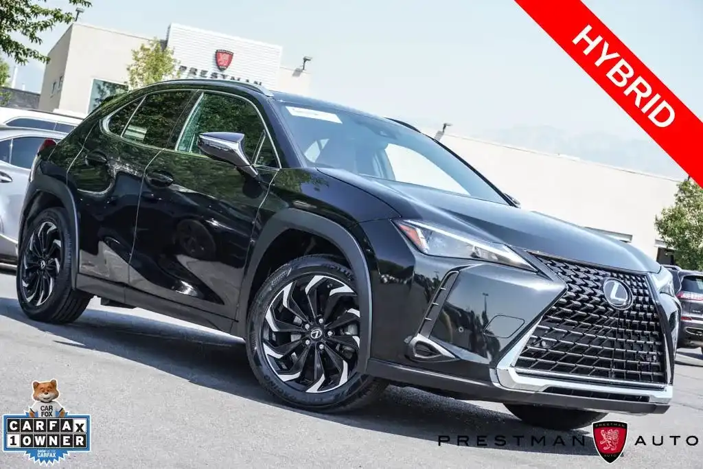 2024 Lexus UX 300h 250h's photo