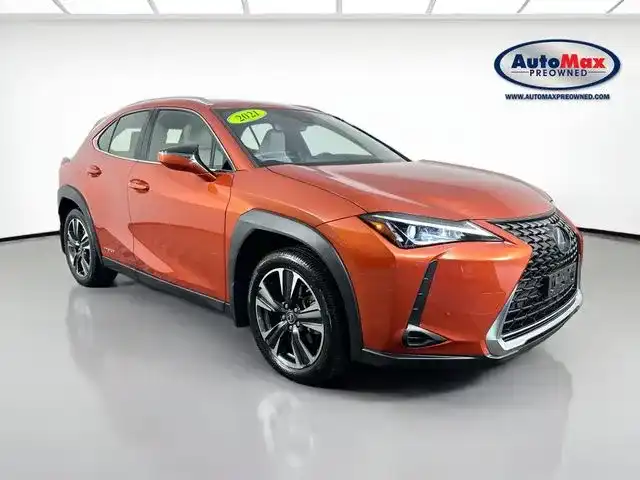 2021 Lexus UX 300h 250h AWD's photo