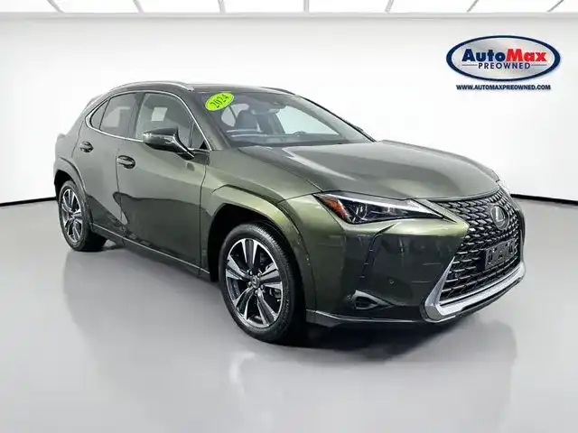 2024 Lexus UX 300h 250h Premium AWD's photo