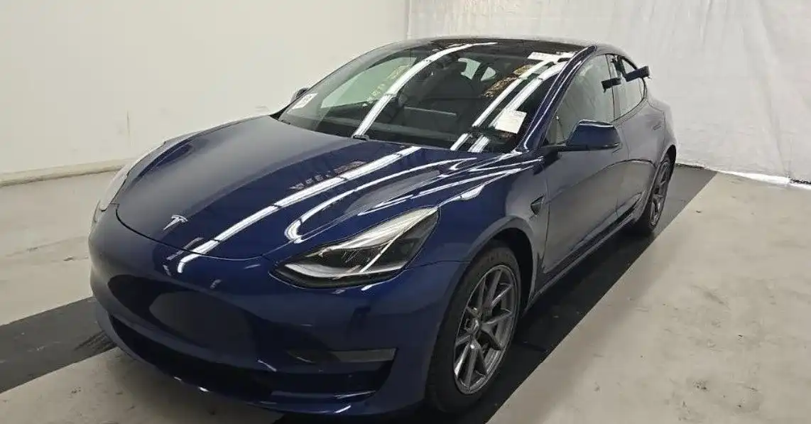 2021 Tesla Model 3 Standard Range Plus's photo