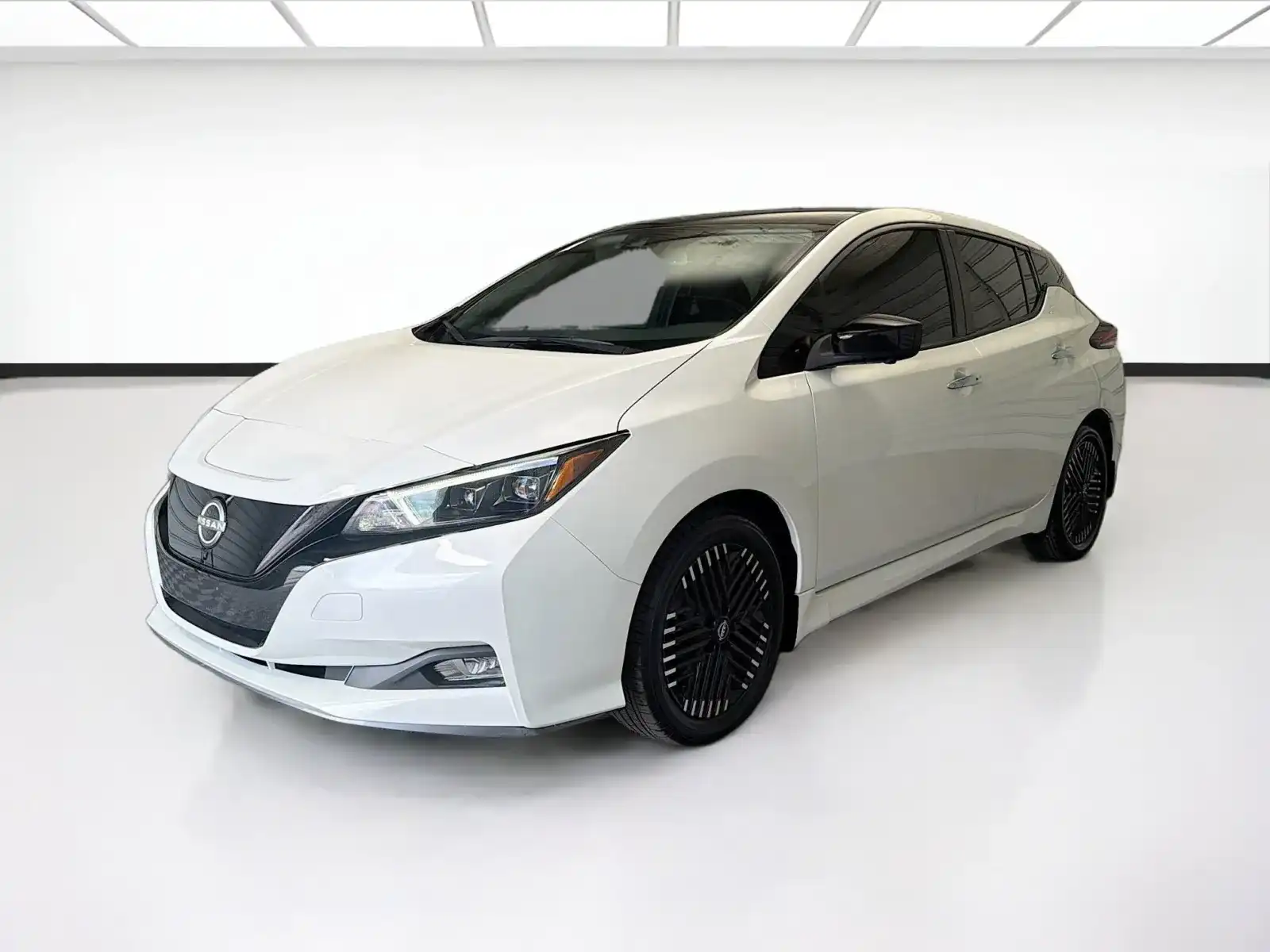 2024 Nissan Leaf SV PLUS's photo