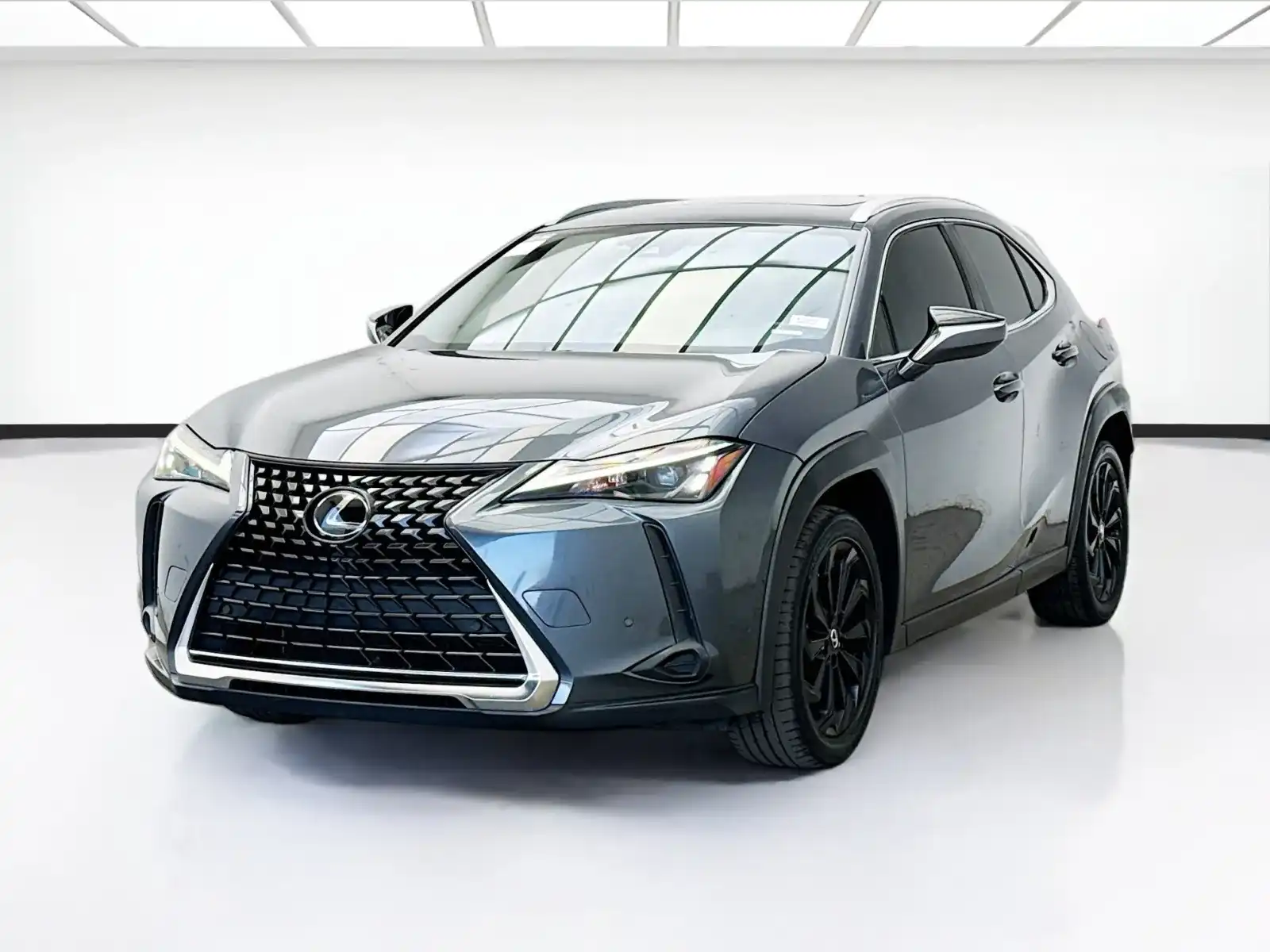 2023 Lexus UX 300h 250h's photo