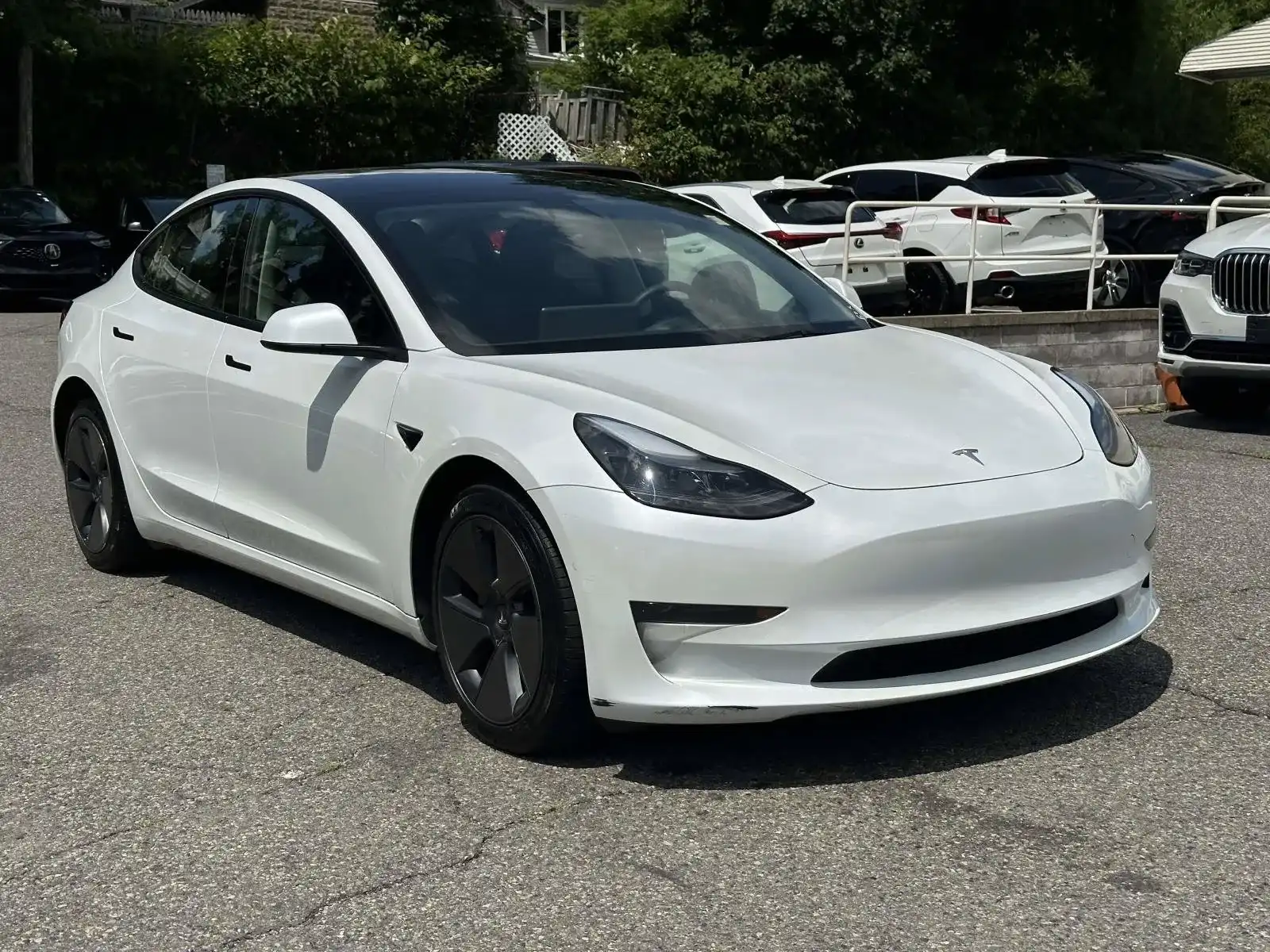 2023 Tesla Model 3 Base's photo