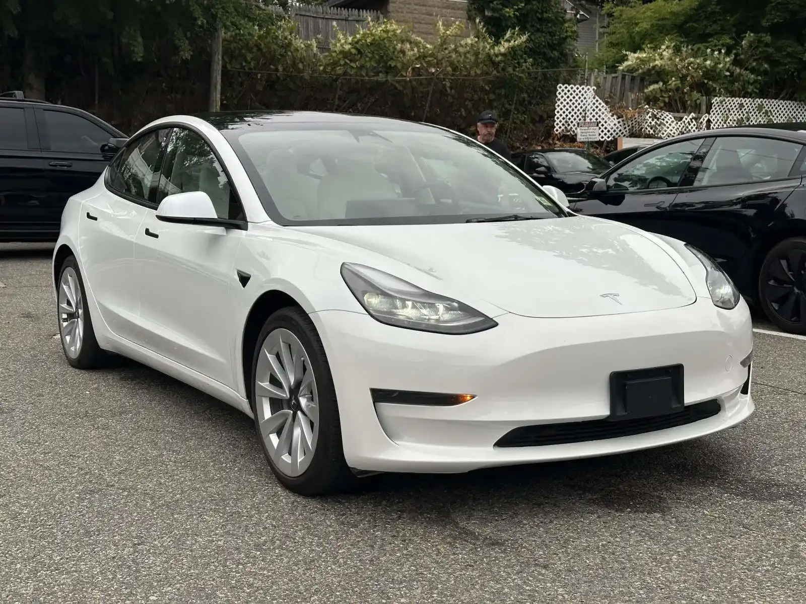 2023 Tesla Model 3 Base's photo