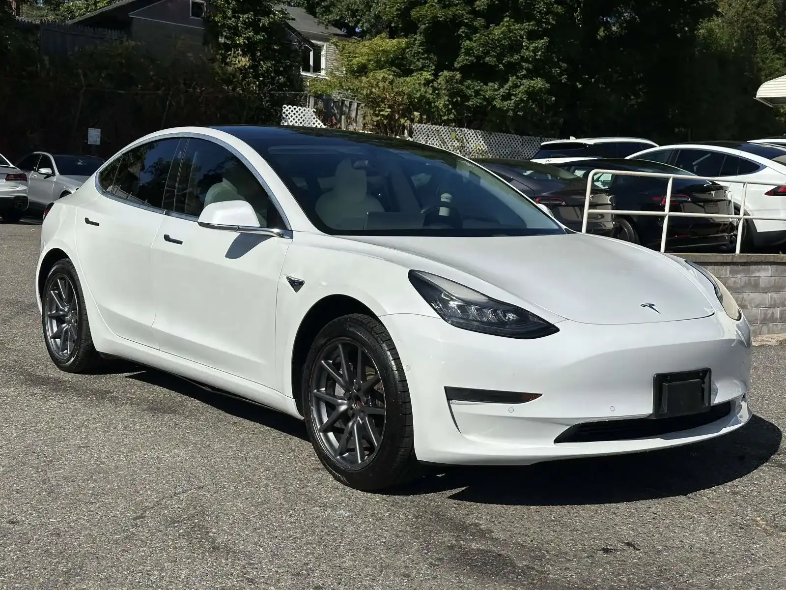 2019 Tesla Model 3 Standard Range Plus's photo