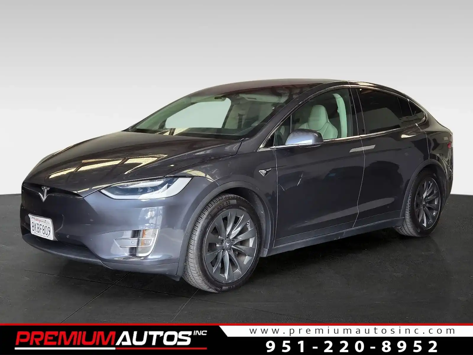 2019 Tesla Model X 100D's photo