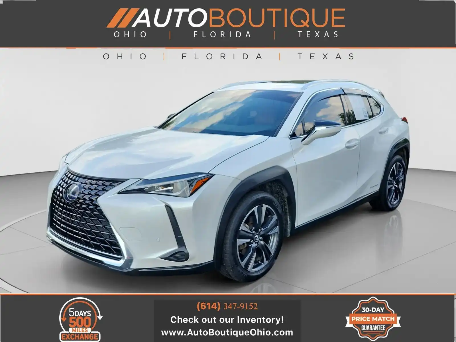 2021 Lexus UX 300h 250h AWD's photo