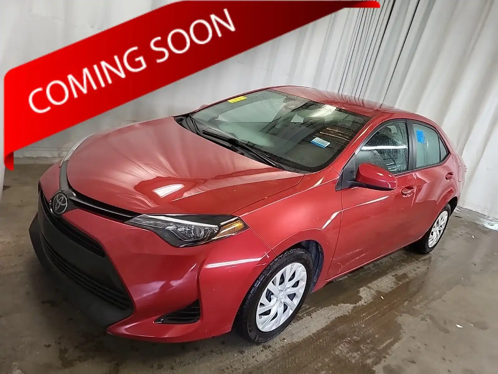 2019 Toyota Corolla LE AT's photo