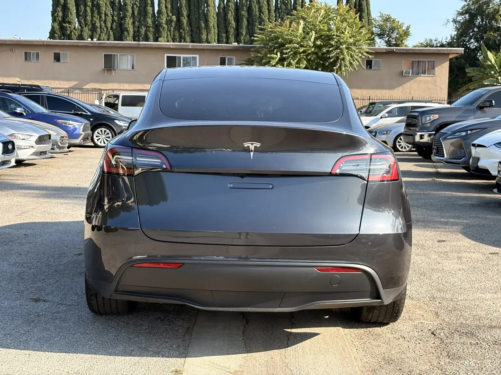 2024 Tesla Model Y Long Range Rear Wheel Drive photo 3