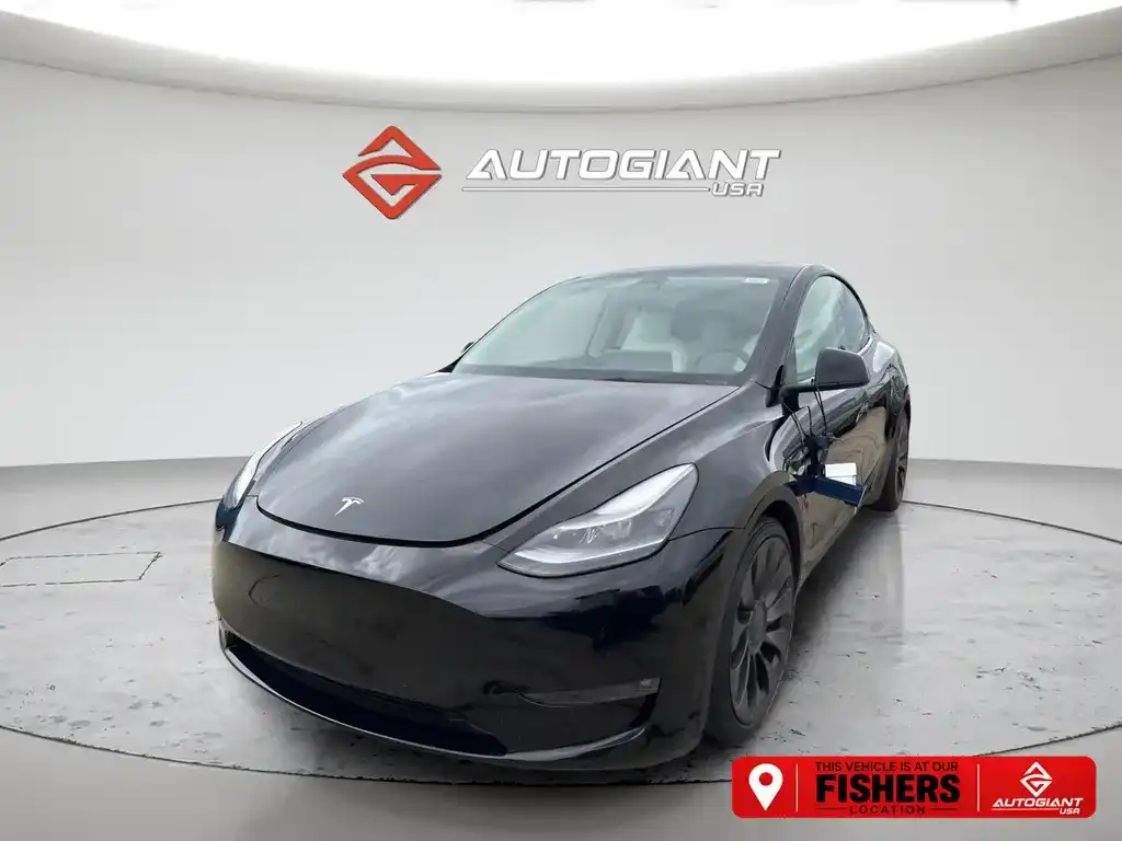2022 Tesla Model Y Performance Dual Motor AWD's photo