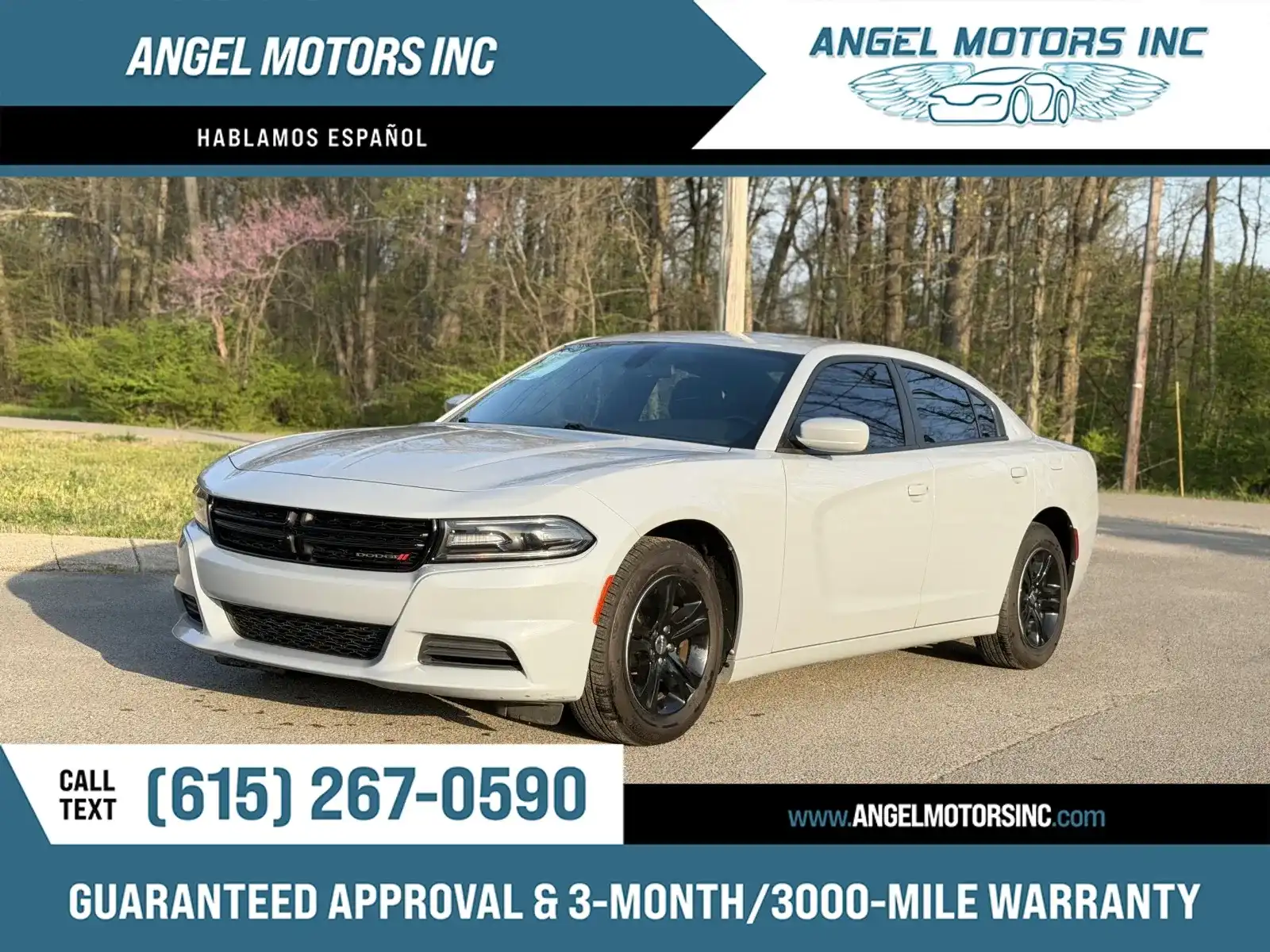 2020 Dodge Charger SXT's photo