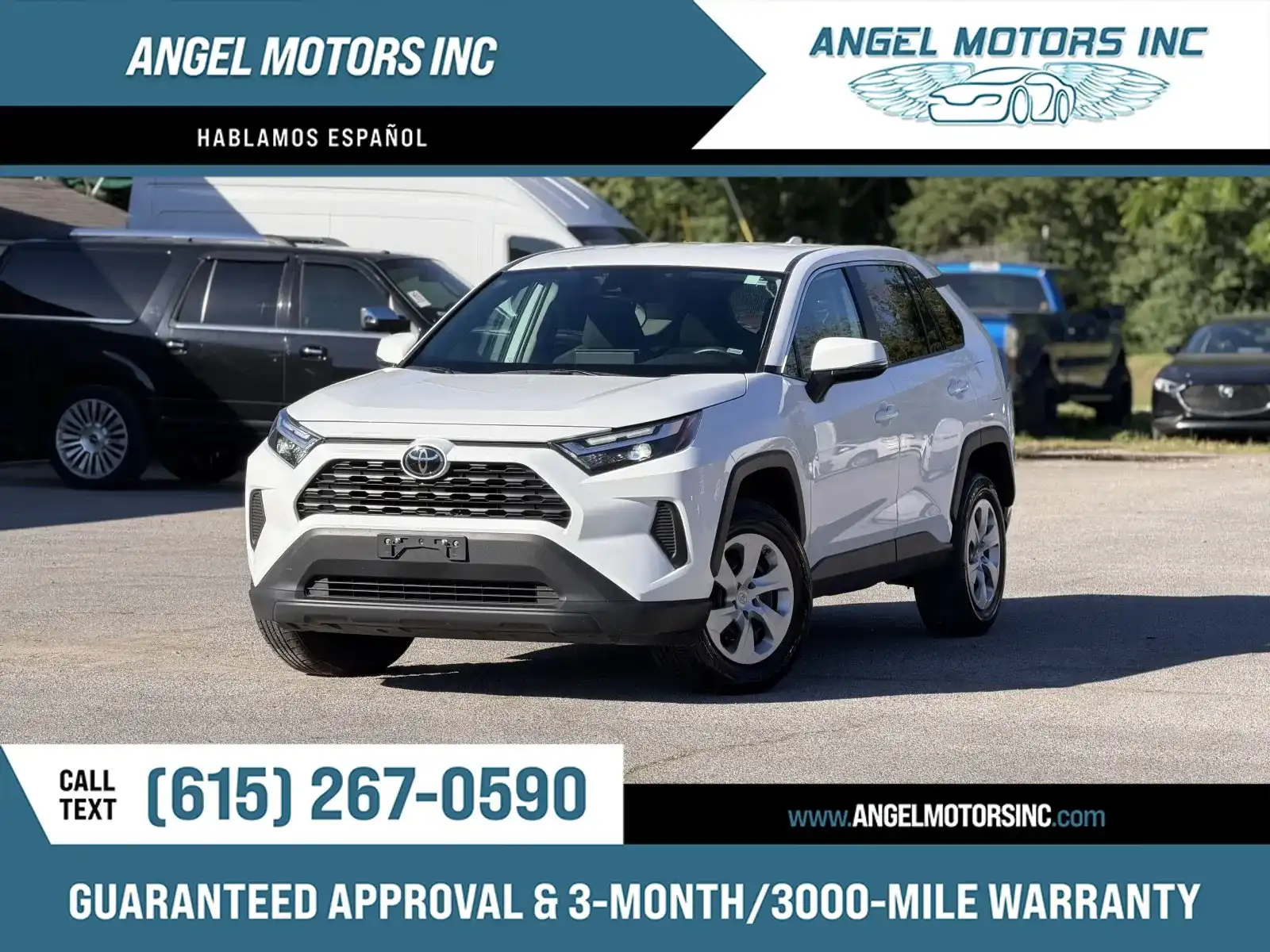 2024 Toyota RAV4 LE AWD's photo