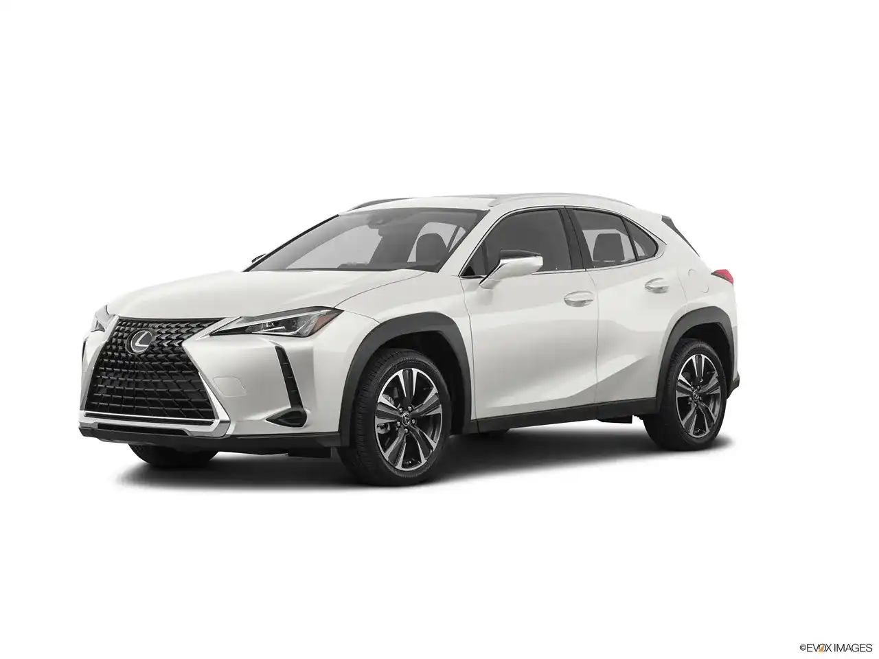 2021 Lexus UX 300h 250h AWD's photo