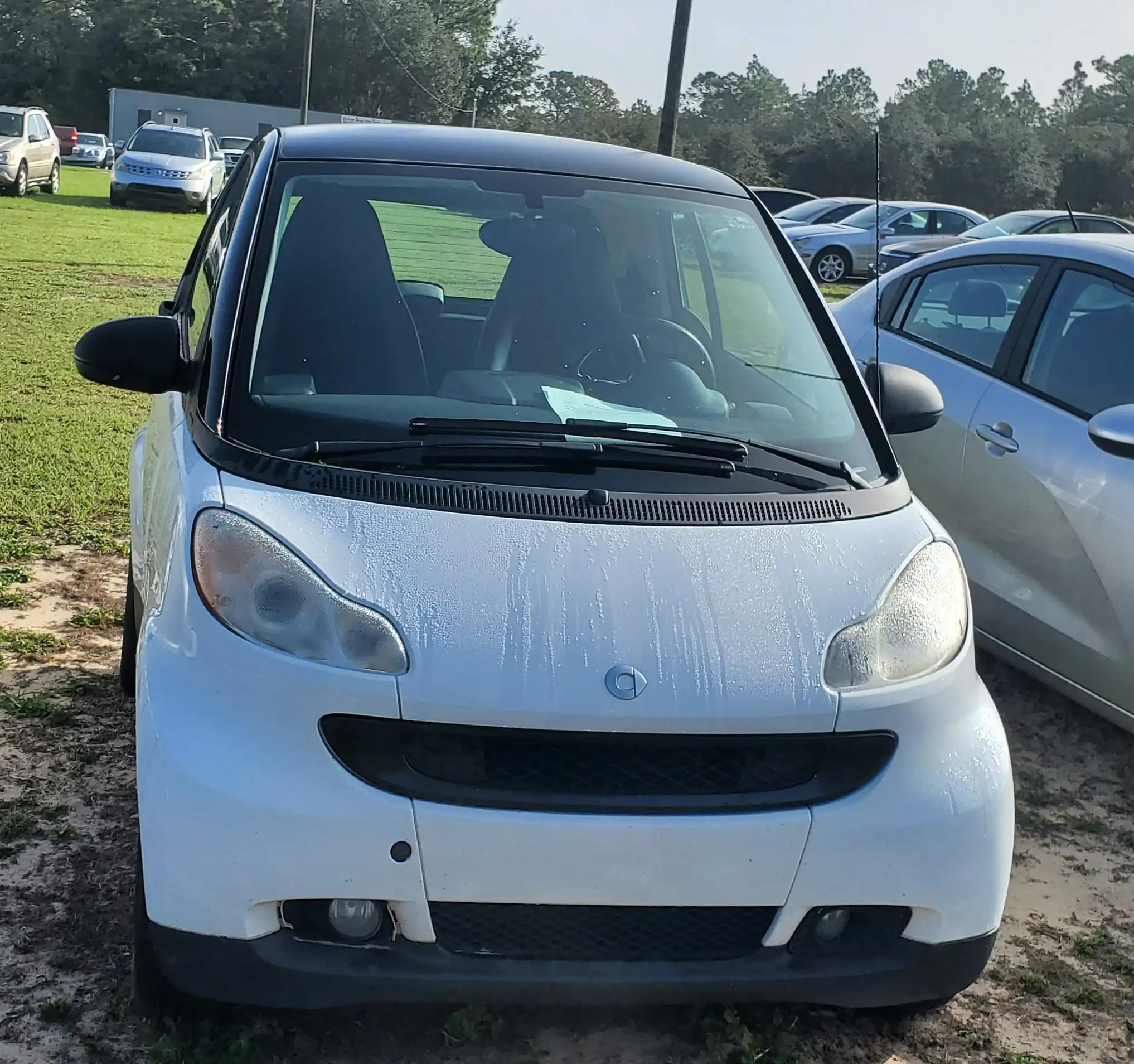 2010 smart fortwo pure's photo