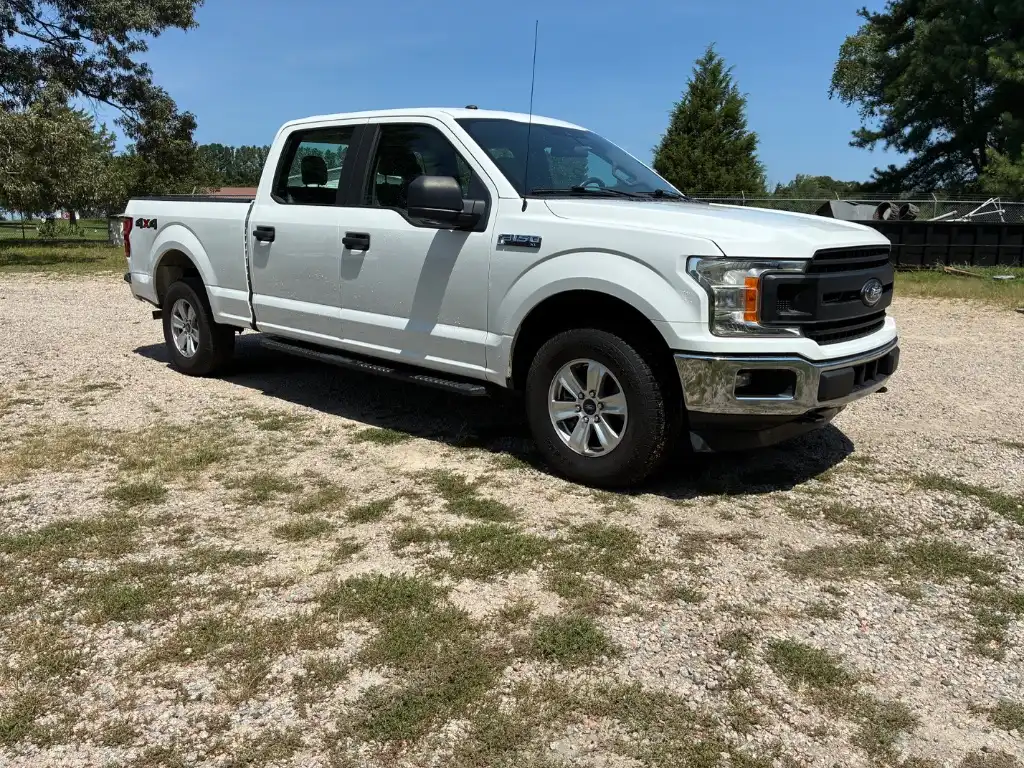 2019 Ford F-150 XL 4WD SuperCrew 6-1/2' Box's photo