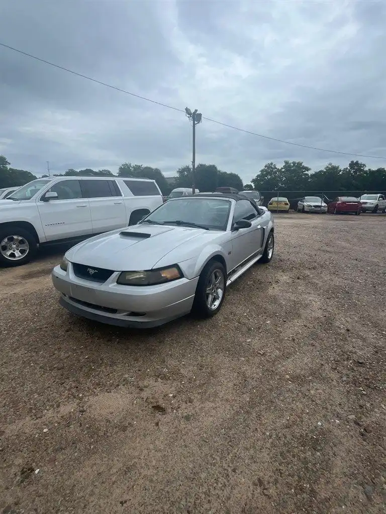 2000 Ford Mustang GT V8's photo